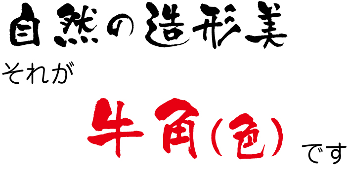 自然の造形美 うしのつの　色